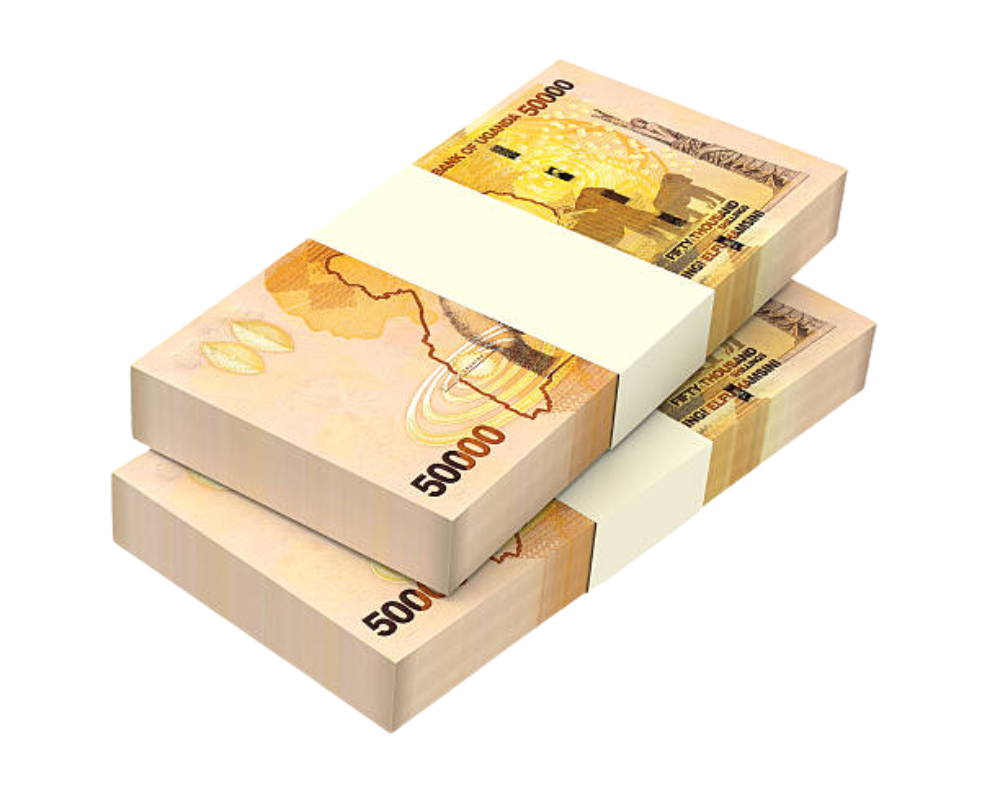 Treasury Minister reveals fourth quarter budget highlights The Ugandan government has allocated 19.79 trillion shillings.